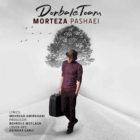 Morteza Pashaei Donbale Toam